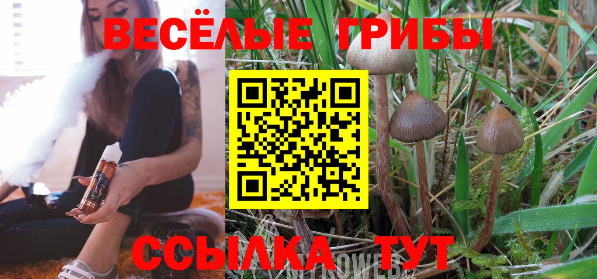 Полысаево  Псилоцибиновые грибы Magic Shrooms  Галлюциногенные грибы MAGIC MUSHROOMS  Вход с VPN 