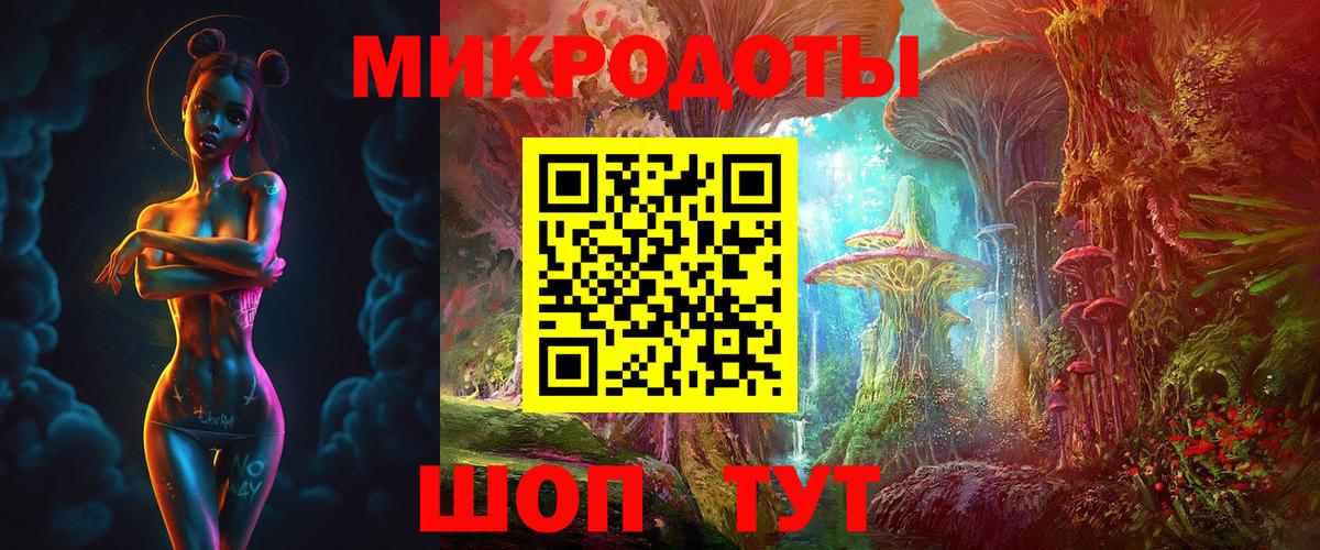 Галлюциногенные грибы Psilocybine cubensis Полысаево